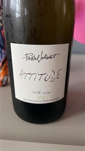 Dolina Loare Pascal Jolivet Attitude - souvignon blanc 2022