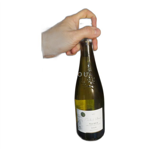 Loire Valley Saumur Charles de Villeneuve 2023