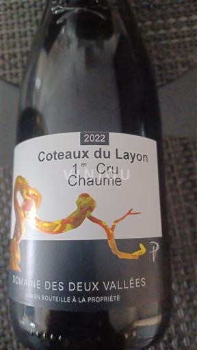 Loire-dalen Ikke specificeret Domaine S Deux Vallées 2022