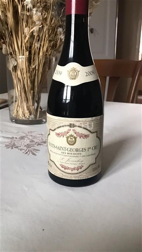Burgundy Nuits-Saint-Georges Premier Cru Domaine Louis Jadot Aux Boudots 2009