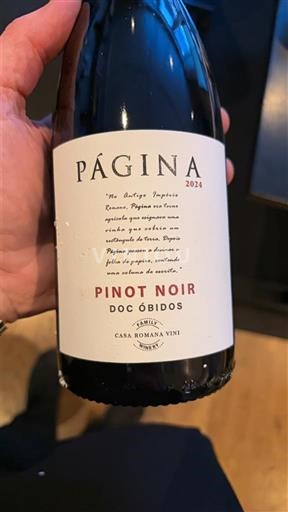 Bồ Đào Nha Óbidos Casa Romana Vini Página 2024