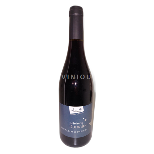 Loire Valley Saint-Nicolas-De-Bourgueil Mabileau La Belle du Domaine 2023