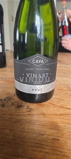Katalonien Cava Vinart Icke årgångsbetecknad