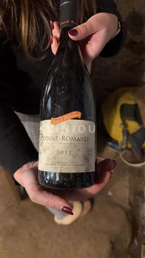 Burgundsko Vosne-romanée Domaine David Duband 2011