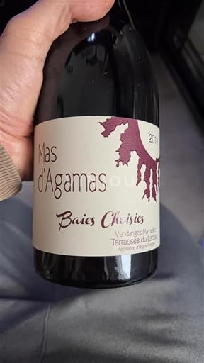 Languedoque Terrasses du Larzac Mas d'Agamas Baies Choisies 2018
