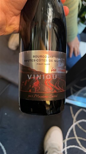 Burgundsko Hautes Côtes de Nuits Maxime Cornet Les Terres Neročník