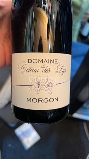 Beaujolais Morgon Domaine Coteau des Lys Ikke årgangsbestemt