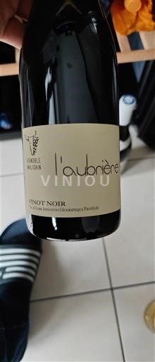 Valle del Loira Vignoble Malidain l'aubrière Sin añada