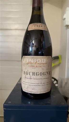 Bourgogne Domaine Méo-Camuzet 2004