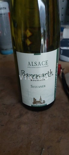 Alsacia Bannwarth Rouffach Sylvaner 2019