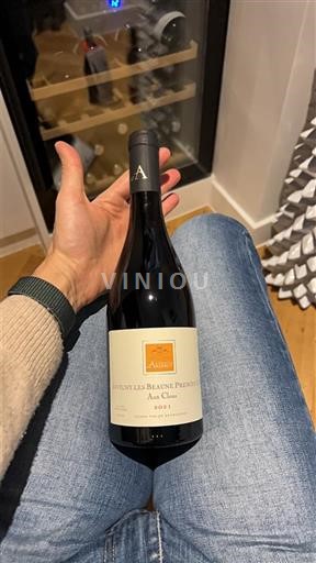 Burgundy Nuits-Saint-Georges Domaine L'Arlot Aux Clous 2019