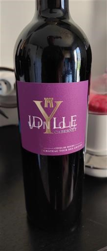 Vinos Rouge sec Idylle Cabernet Château Tour des Graves Non millésimé Francia Burdeos Côtes-de-bourg AOC