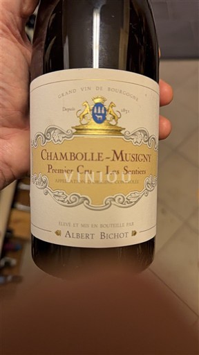 Vinos Rouge sec Premier Cru - Les Sentiers Albert Bichot 2019 Francia Borgoña Chambolle-Musigny AOC Premier Cru