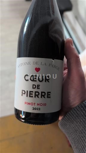 Loire-dalen Ikke specificeret Antoine de la Farge Cœur de Pierre 2022