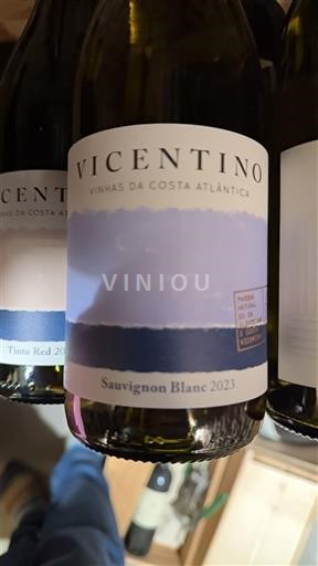 Lisboa Vicentino 2023