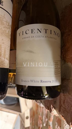 Alentejo Vicentino Branco White Reserva 2022