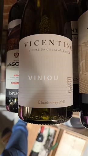 Alentejo Vicentino 2021