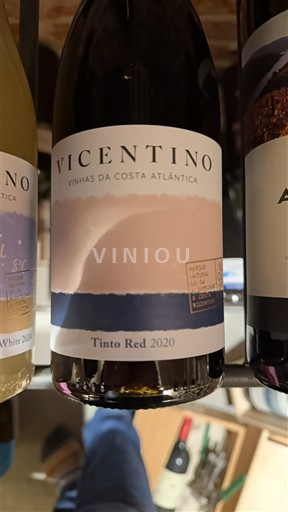 Alentejo Vicentino 2020