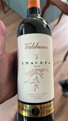 Castilien og León Ribera del Duero Valduero Una Cepa 2016