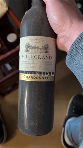 Linguadoca e Rossiglione Paese d'Oc Domaine Millegrand 2015