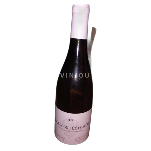 Burgund Burgund Côte d'Or Domaine michel parize 2022