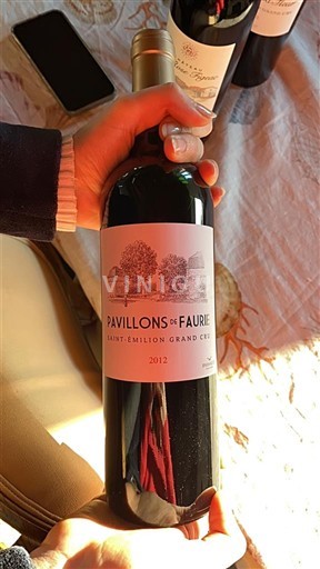 Wijnen Rouge sec Pavillons de Faure 2012 Frankrijk Bordeaux Saint-Émilion Grand Cru AOC Grand Cru