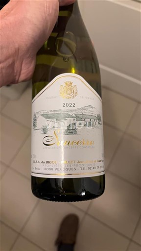 Valle del Loira Sancerre Ets SCEA dU BrioU 2022