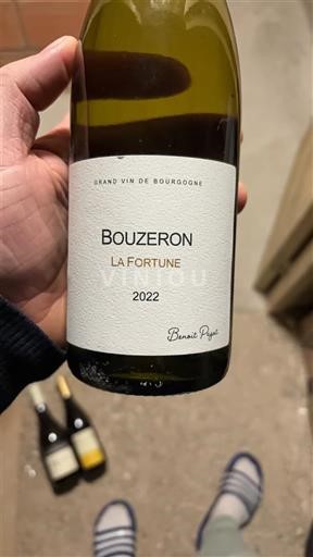Borgoña Bouzeron Benoit Pagot La Fortune 2022