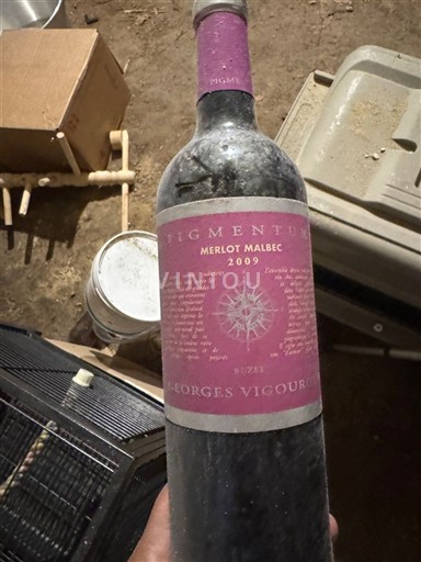 Tây Nam Côtes du Lot Georges Vigouroux Pigmentum Merlot Malbec 2009