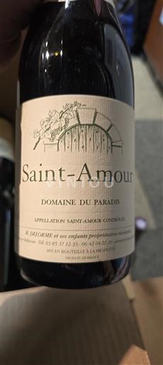 Beaujolais Thánh Tình Yêu Domaine Paradis 2022