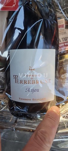 Loiretal Anjou Domaine Terrebrune Ohne Jahrgang