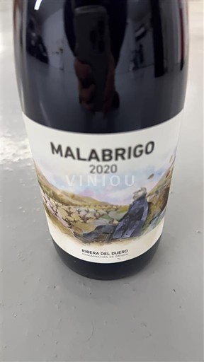 Castilien og León Ribera del Duero Bodegas Cepa 21 Malabrigo 2020