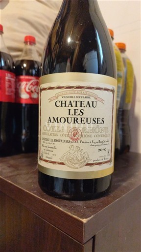 Rhônedalen Côtes du Rhône Château Les Amoureuses 2010