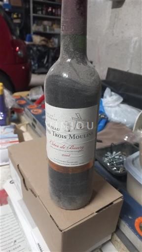 Bordeaux Côtes-de-bourg Château Les Trois Moulins 2008