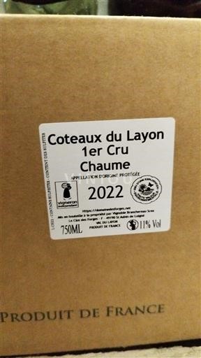 Loire-dalen Ikke specificeret Domaine Des Forges 2022