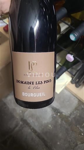 Údolí Loiry Bourgueil Domaine Les Pins Le Clos 2020