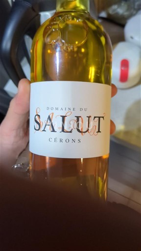 Bordeaux Cérons Domaine Salut 2023