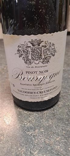 Borgoña Vaudoisey-Creusefond 2008