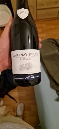 Bourgogne Premier Cru Capuano-Ferreri La Comme 2022