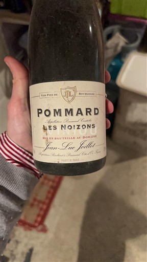Borgoña Pommard Jean-Luc Joillot Les Noizons 2002