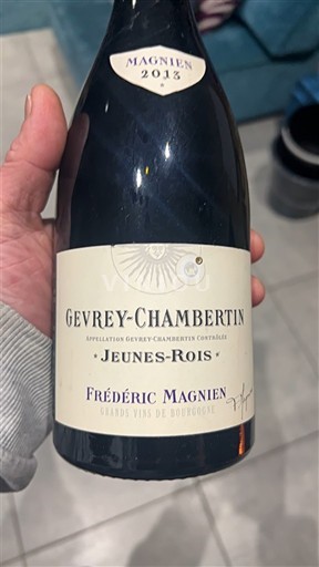 Burgundy Gevrey-Chambertin Frédéric Magnien Jeunes-Rois 2013