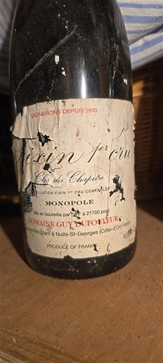 Burgundy Fixin Premier Cru Domaine Guyot Jouffleur Clos du Chapitre Non-Vintage
