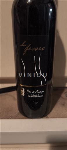 Loiredalen Puy-de-Dôme Domaine Boudes Plaisir Les Fesses 2022