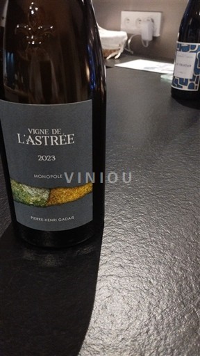 Loirevallei Muscadet-Sèvre-et-Maine Pierre-Henri Gadais Vigne de l'Astrée Monopole 2023