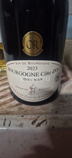 Vini Rouge sec Domaine Coste-Caumartin 2023 Francia Borgogna Borgogna Côte d'Or AOC