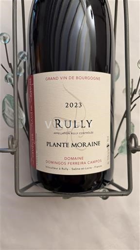 Burgundsko Rully Domaine Domingos Ferreira Campos Plante Moraine 2023