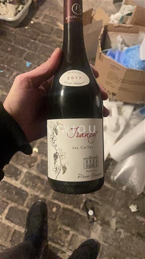 Burgundsko Irancy Domaine Pierre Vessigaud Les Cailles 2017