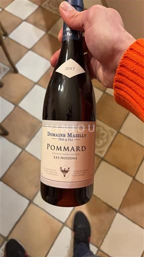 Burgundy Pommard Domaine Mazilly Père & Fils Les Noizons 2017