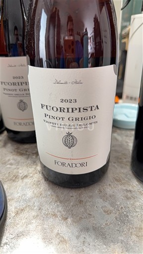Trentin-Haut-Adige Vigneti delle Dolomiti Foradori Fuoripista Pinot Grigio 2023