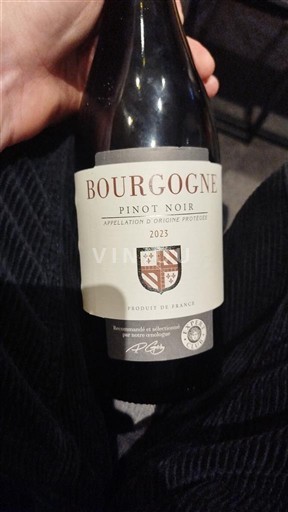 Burgundija Jhf dambach la ville 2023